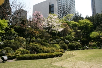 Okura_garden