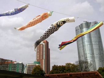 Koinobori