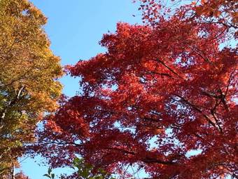 Hakone